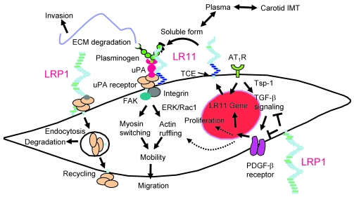 Figure 12