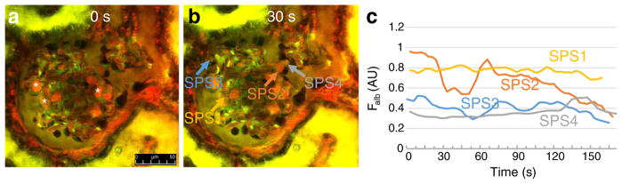 Fig. 3