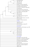 FIG 3
