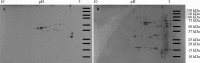 FIG 1