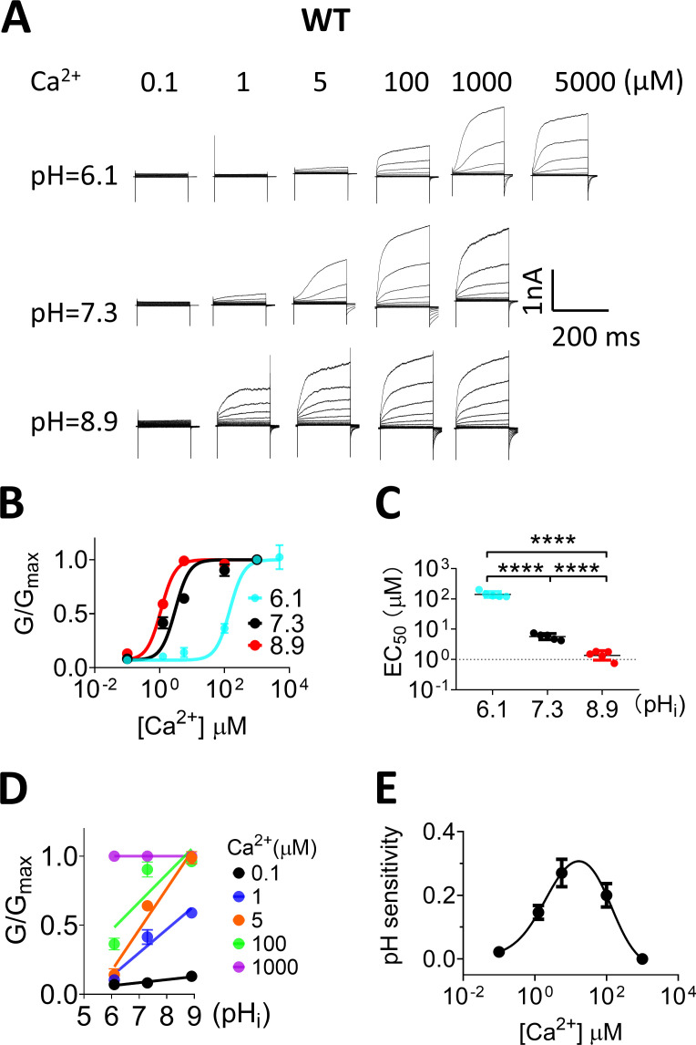 Figure 5.