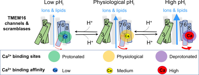 Figure 7.