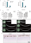 Figure 10—figure supplement 2.