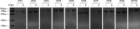 Figure 10—figure supplement 1.
