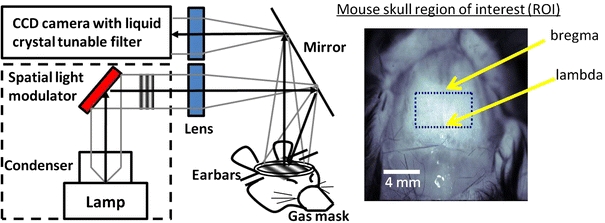 Figure 1