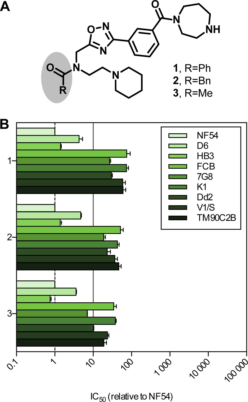 FIG 2