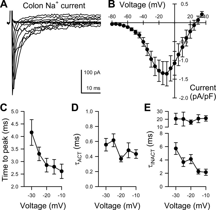 Fig. 2.