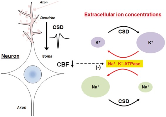 Figure 3.