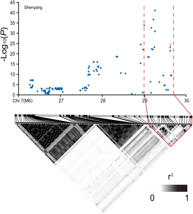 FIGURE 6