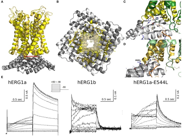 Figure 10