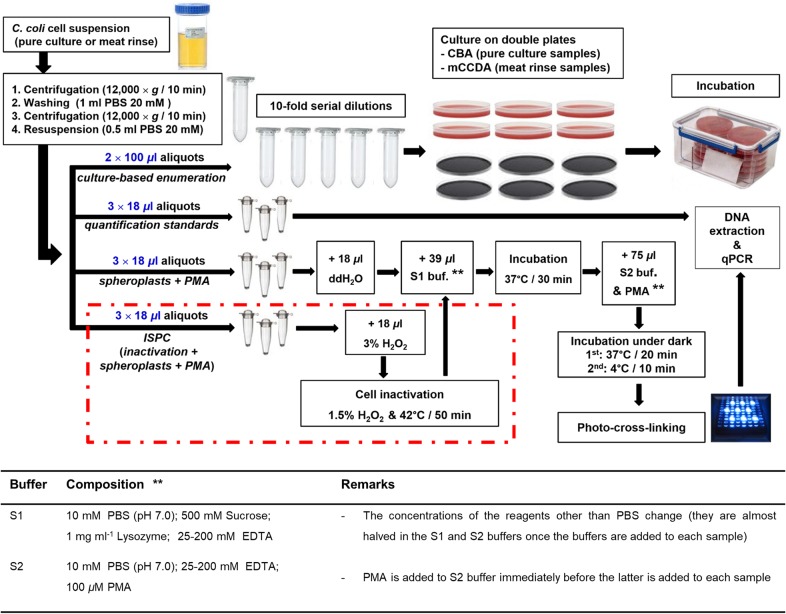 FIG 6