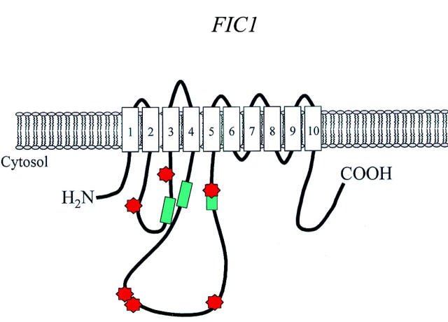 Figure 1  