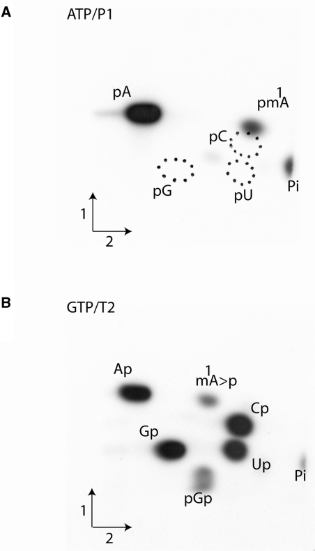 Figure 4.