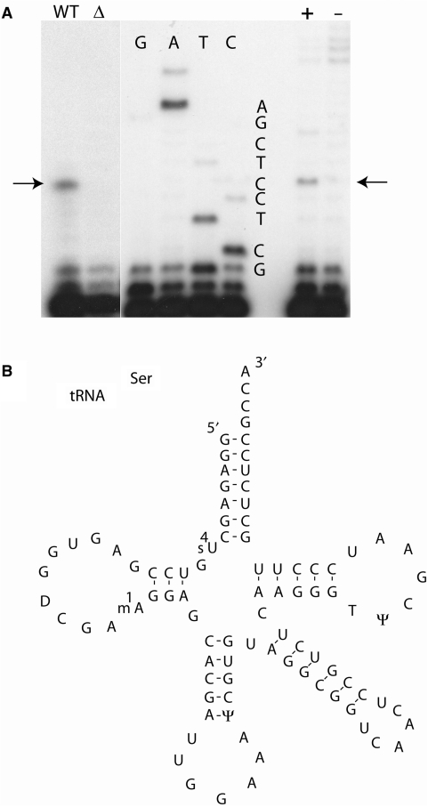 Figure 5.