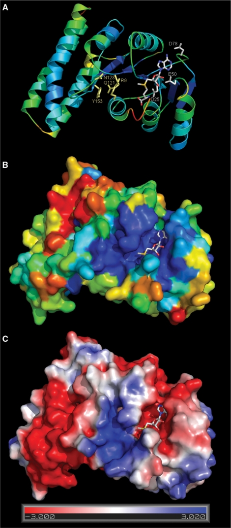 Figure 7.