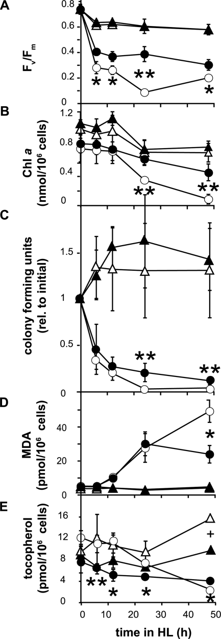 FIG. 5.