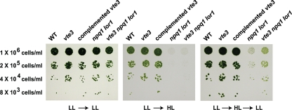 FIG. 4.