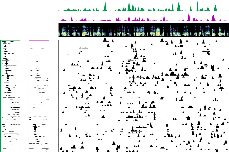 Figure 1—figure supplement 8.