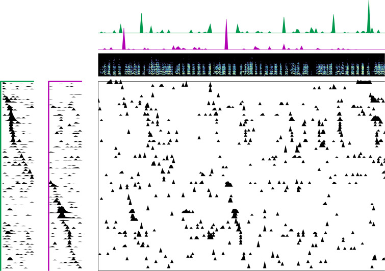 Figure 1—figure supplement 10.