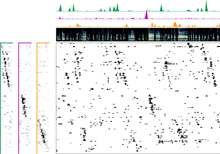 Figure 1—figure supplement 6.