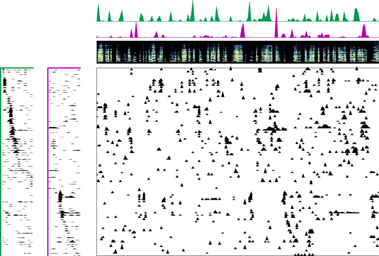 Figure 1—figure supplement 7.