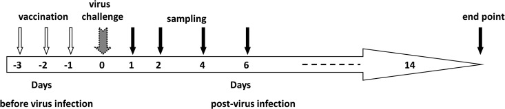 FIG 1