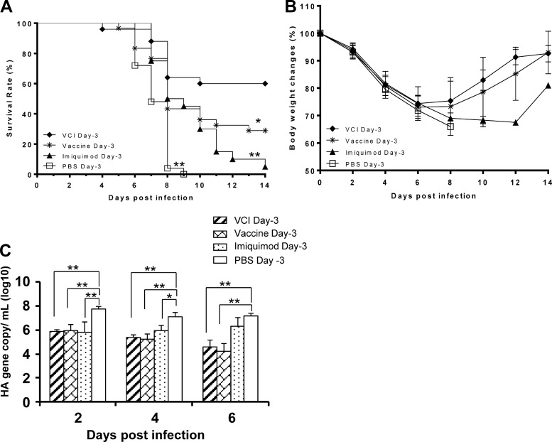 FIG 2