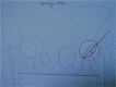 Fig. 17