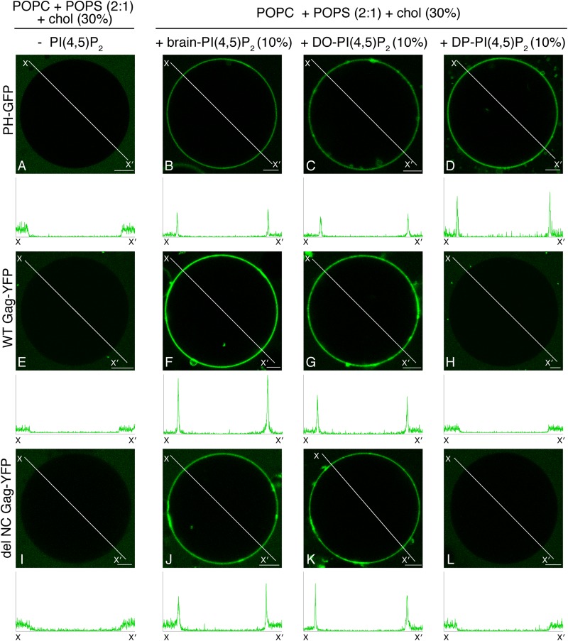 FIG 2