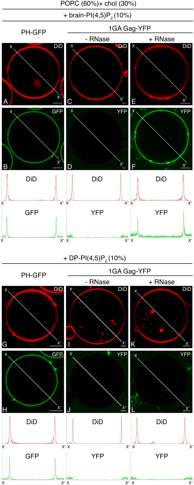 FIG 6