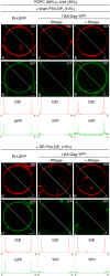 FIG 6