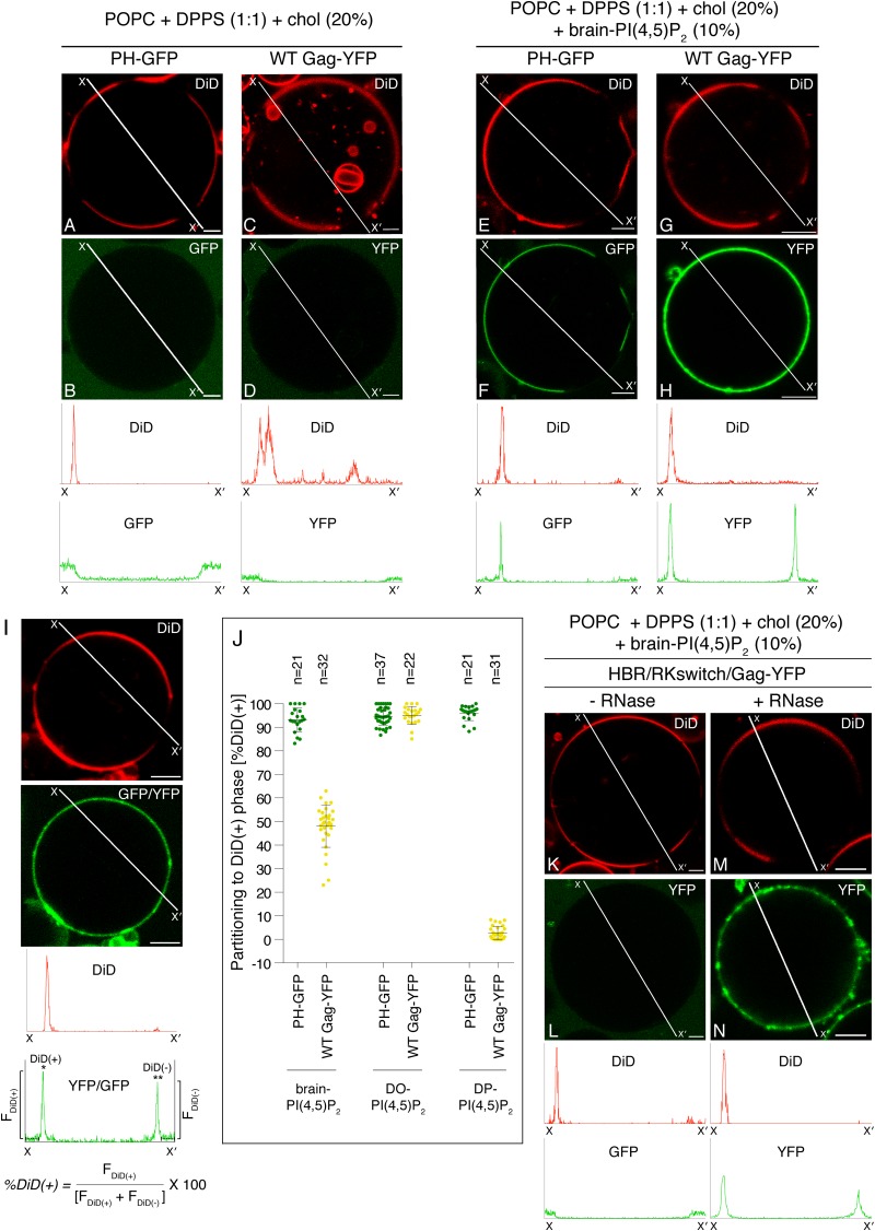 FIG 4