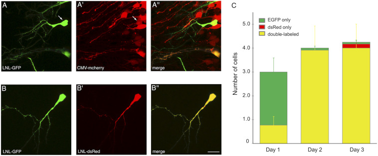 FIGURE 6