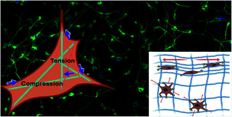 graphic file with name d1ra05257h-ga.jpg