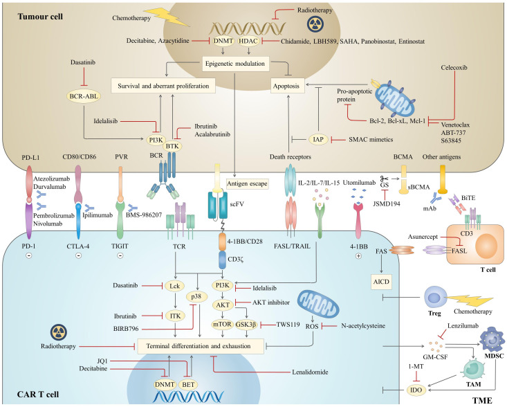 Figure 2