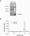 FIG. 6.