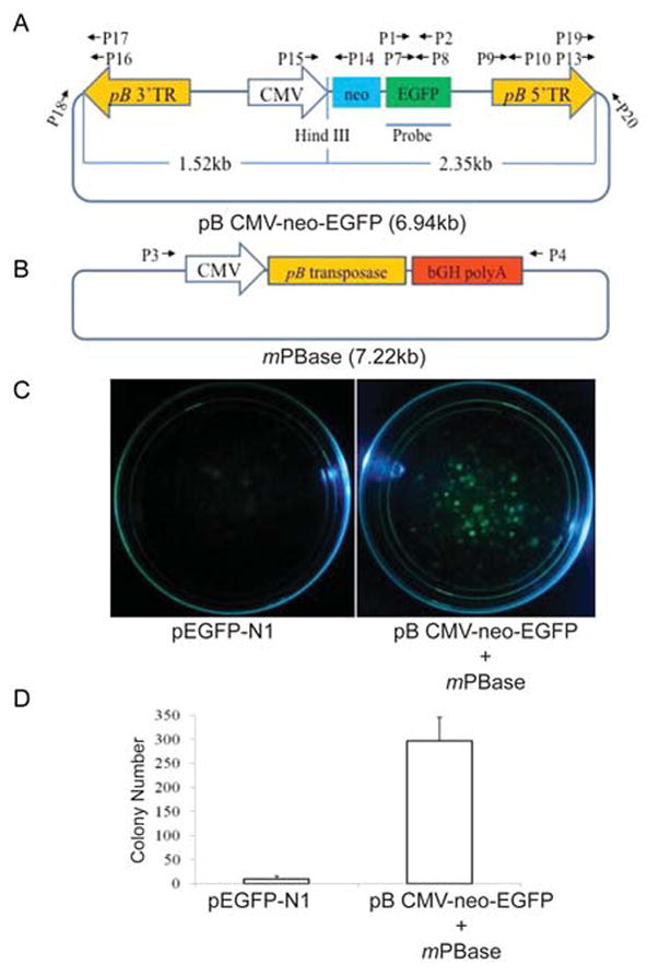 Fig.1