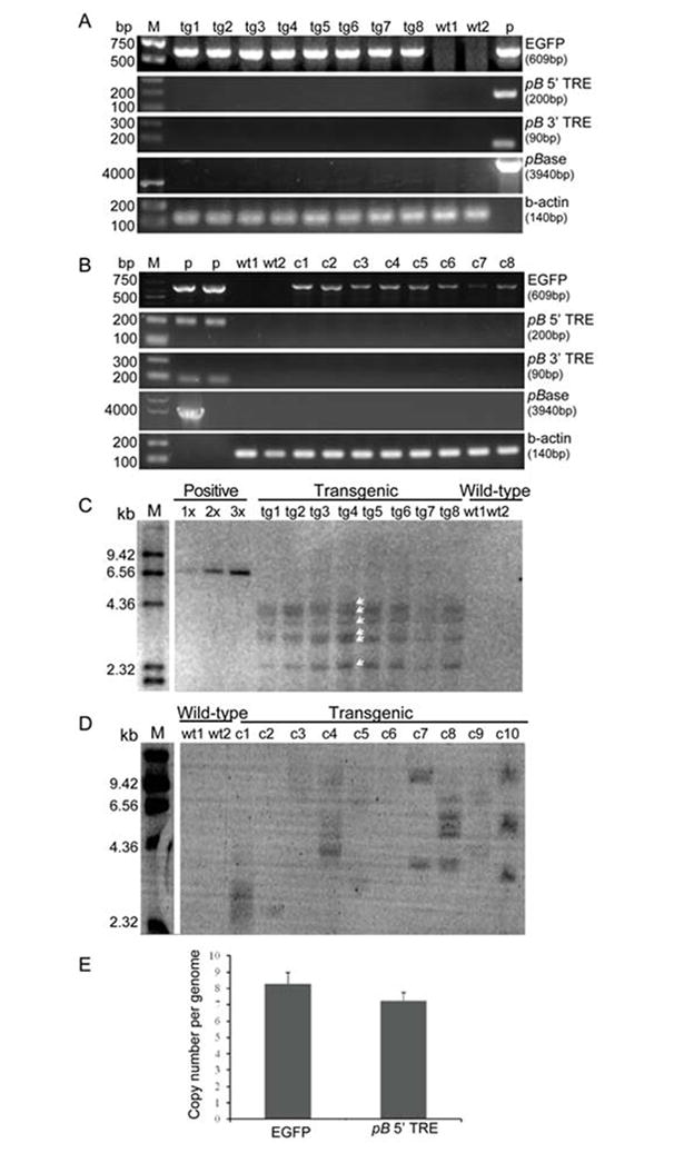 Fig.3