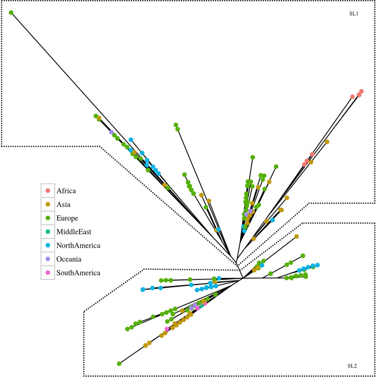 FIG 1