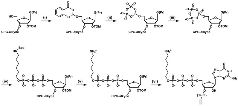 Scheme 1