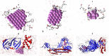 Figure 20