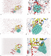 Figure 21