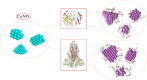 Image, graphical abstract