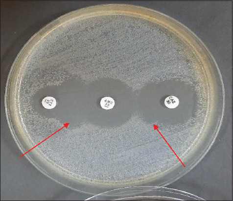 Figure-3