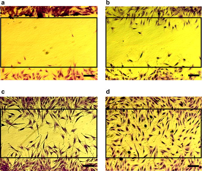 Fig. 2