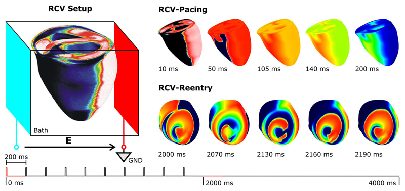 Fig. 2