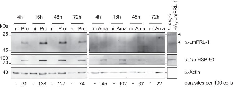 FIG 5