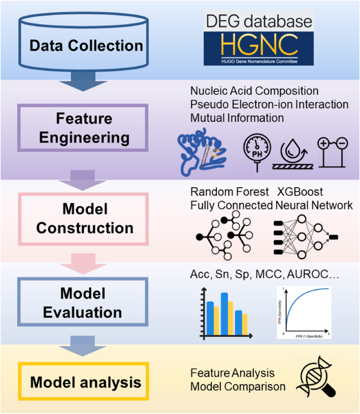 FIGURE 1