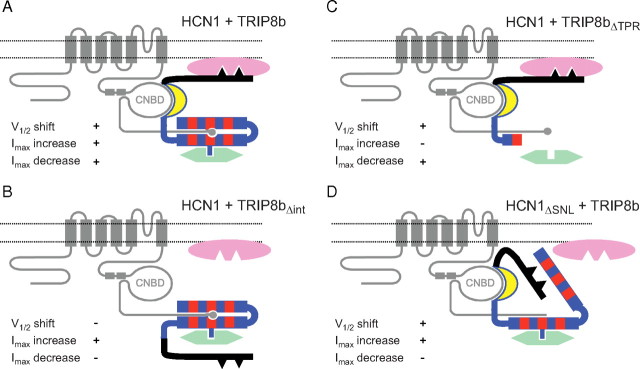 Figure 11.