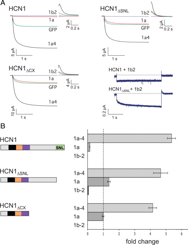 Figure 9.